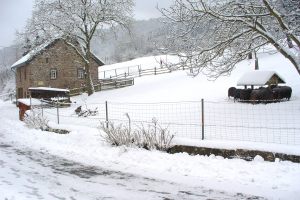 Ferienhaus "Alte Scheune" - Heidschnuckenhof Schultheis in Usch/Eifel